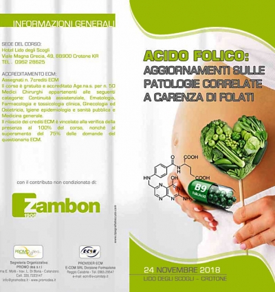 24 novembre 2018 - ACIDO FOLICO: Aggiornamenti sulle patologie correlate a carenza di folati